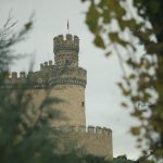 Detalles del Castillo de Manzanares
