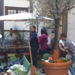 Intercultural Competence Workshop April 9