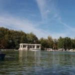 Luísa Gonçalves Araujo 02