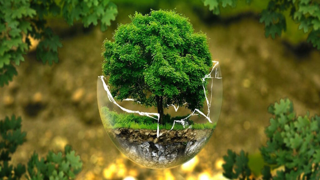 Environmental Protection