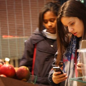 Cultural Program: Tapapiés