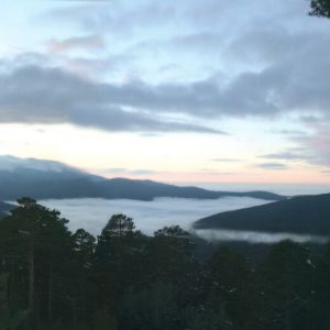 Navacerrada Nature Madrid