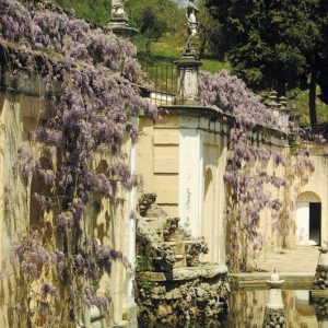 Surprises Nearby Madrid